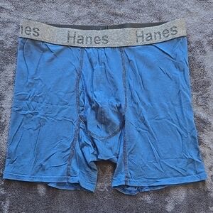 Hanes Blue and Gray Boxer Briefs with Elastic Waistband